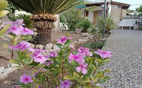 Il Giardino Di Sofia Charm And Comfort Apartment